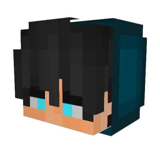 MathCat216 Minecraft avatar head, 3D render