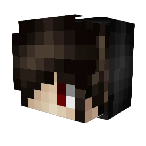 MathOnFireZ Minecraft avatar head, 3D render