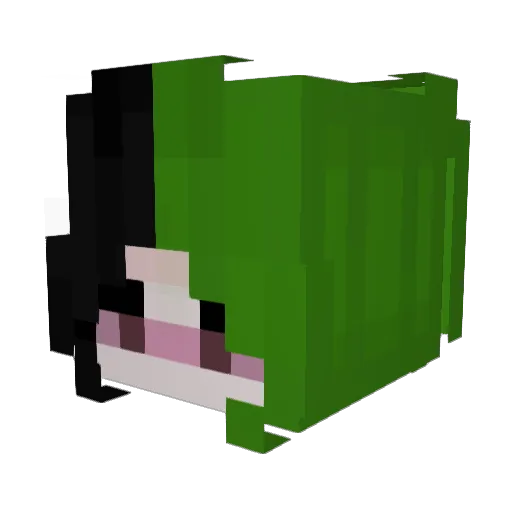 MathPvPBr Minecraft avatar head, 3D render