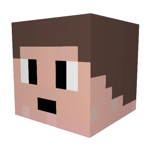 Math_An_Mid_4 Minecraft avatar head, 3D render