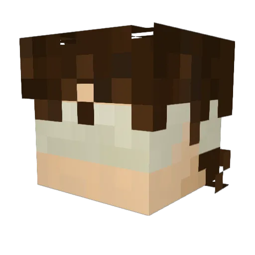 Math_Chan Minecraft avatar head, 3D render