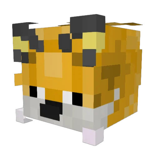 Math_Wisard Minecraft avatar head, 3D render