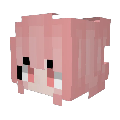 Mathala Minecraft avatar head, 3D render