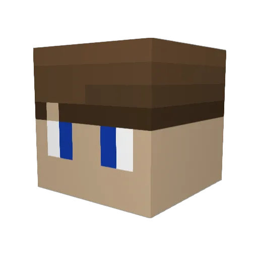 Mathe_Fabi Minecraft avatar head, 3D render