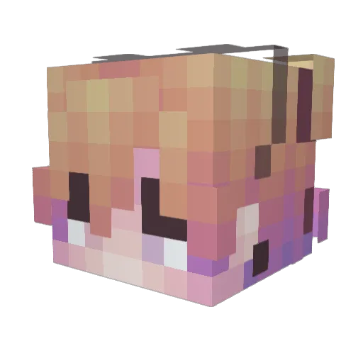 Matheo0812 Minecraft avatar head, 3D render