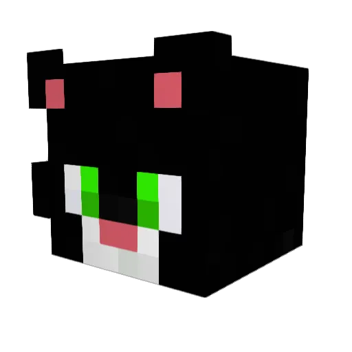 Matheo974st Minecraft avatar head, 3D render