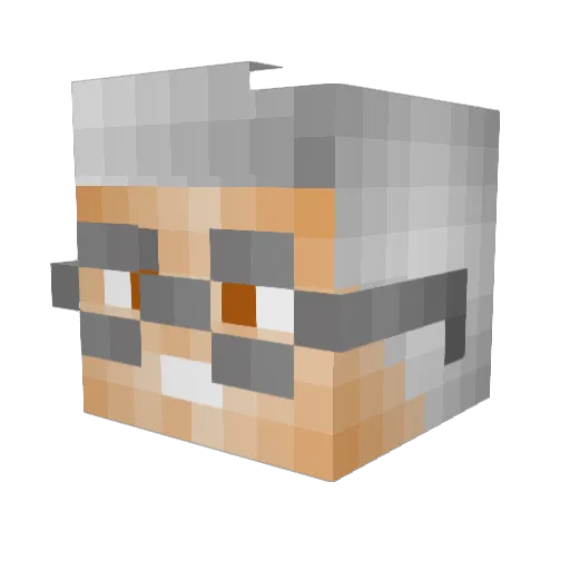 Matherpaj Minecraft avatar head, 3D render