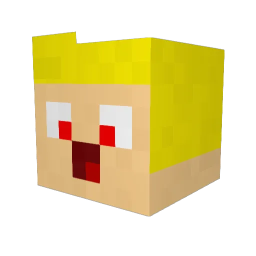 Mathes04 Minecraft avatar head, 3D render