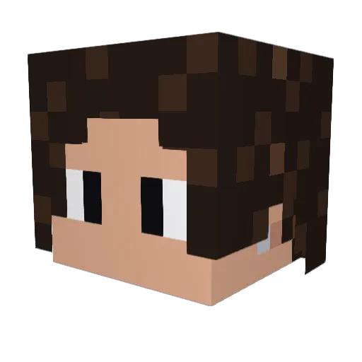 MatheusPlayerBR Minecraft avatar head, 3D render