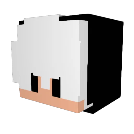 Matheus_1TJ Minecraft avatar head, 3D render