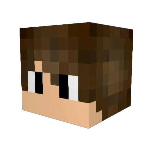 Matheus_WLod Minecraft avatar head, 3D render