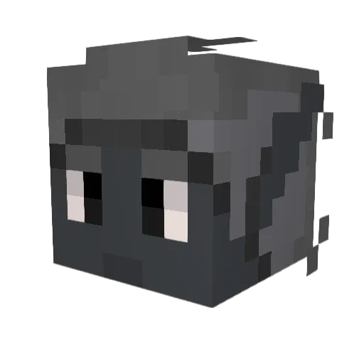 Mathgeek007 Minecraft avatar head, 3D render