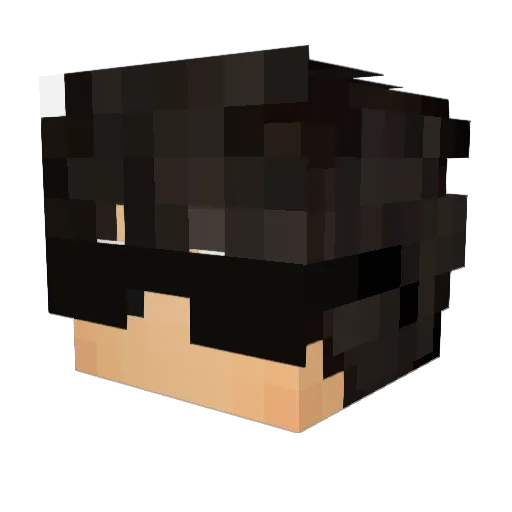 Mathh_ Minecraft avatar head, 3D render