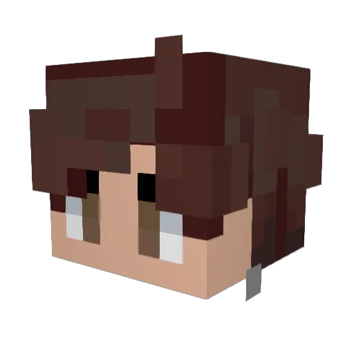 Mathhs8 Minecraft avatar head, 3D render