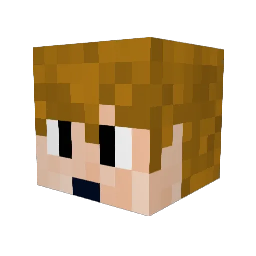 MathiasFarrar Minecraft avatar head, 3D render