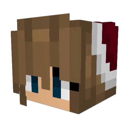 Mathidu53 Minecraft avatar head, 3D render