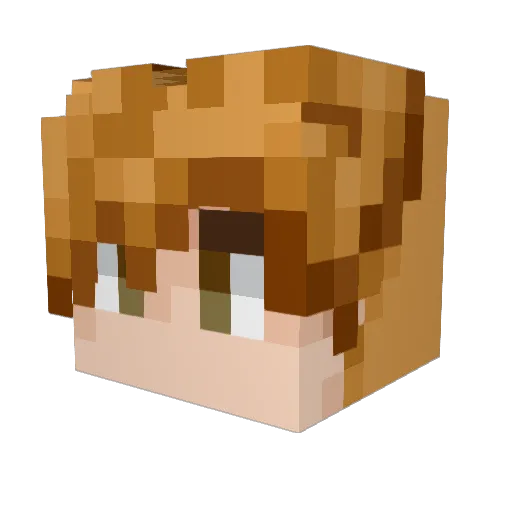 MathieuWood Minecraft avatar head, 3D render