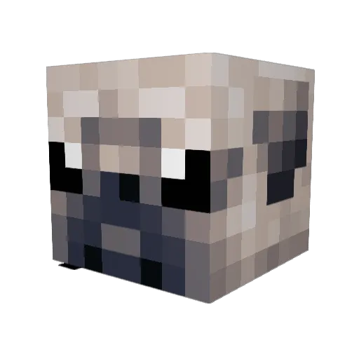 Mathijs123_ Minecraft avatar head, 3D render