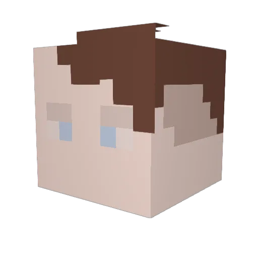 Mathmatrician Minecraft avatar head, 3D render