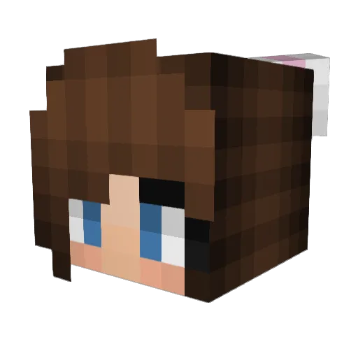 Mathnerd910 Minecraft avatar head, 3D render