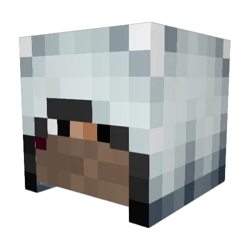 MathyGamerNL Minecraft avatar head, 3D render