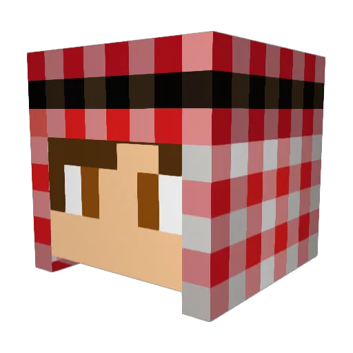 Mathys94 Minecraft avatar head, 3D render