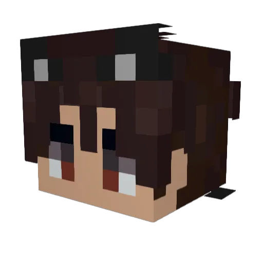 Mati0369 Minecraft avatar head, 3D render