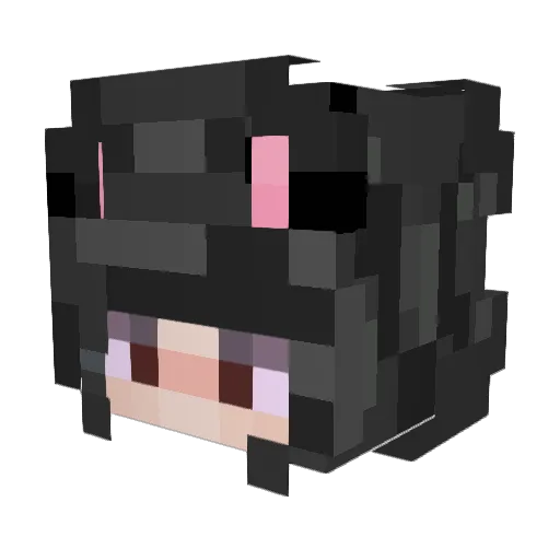 MatiJas1234 Minecraft avatar head, 3D render