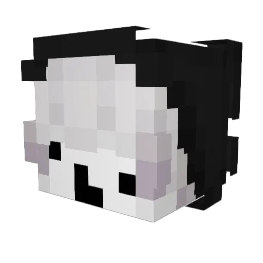 MatiSenshi2010 Minecraft avatar head, 3D render