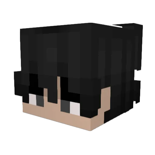 MatiSpider12 Minecraft avatar head, 3D render