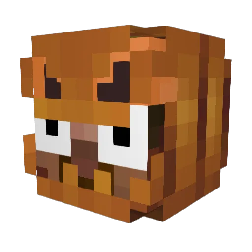 MatiWajcha Minecraft avatar head, 3D render
