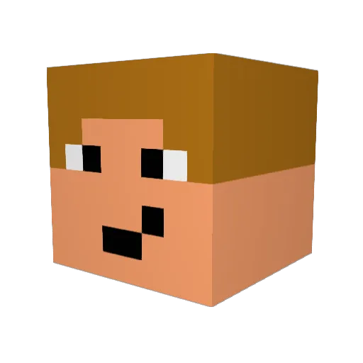 Mati_X Minecraft avatar head, 3D render