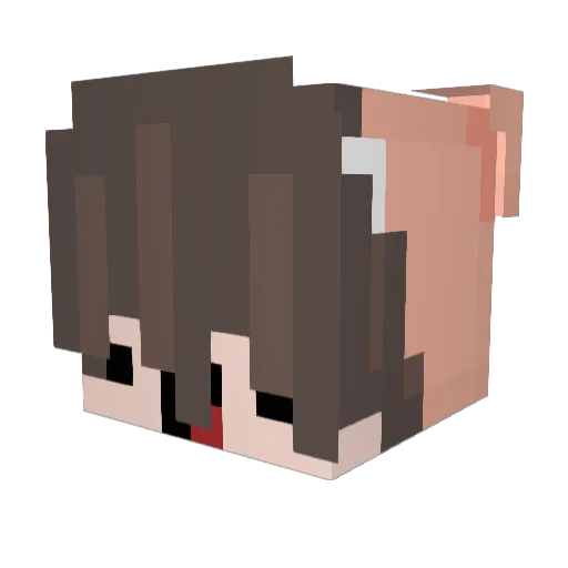 Matin_2 Minecraft avatar head, 3D render