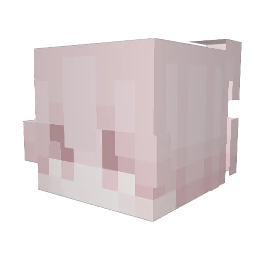 Matirion Minecraft avatar head, 3D render