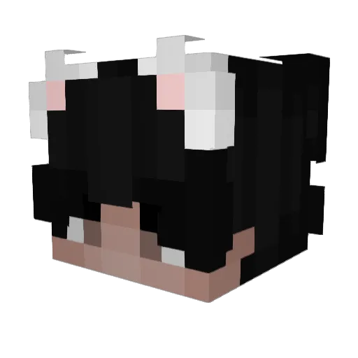Matisse33 Minecraft avatar head, 3D render