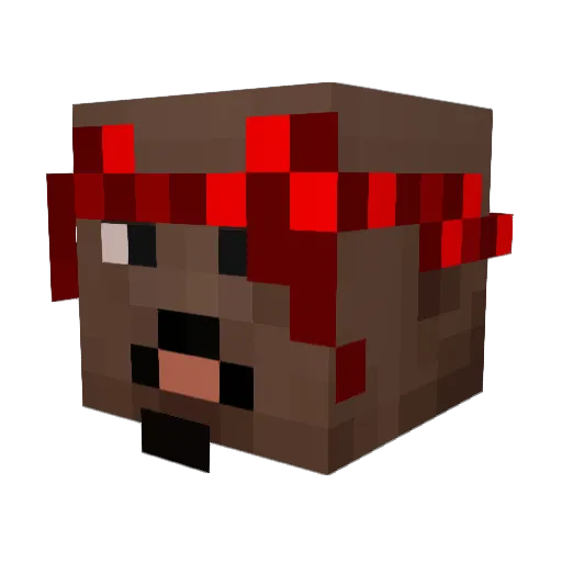Matista14 Minecraft avatar head, 3D render