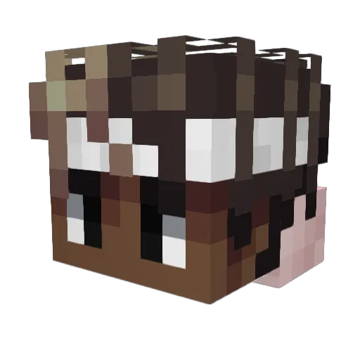Matiszek7865 Minecraft avatar head, 3D render