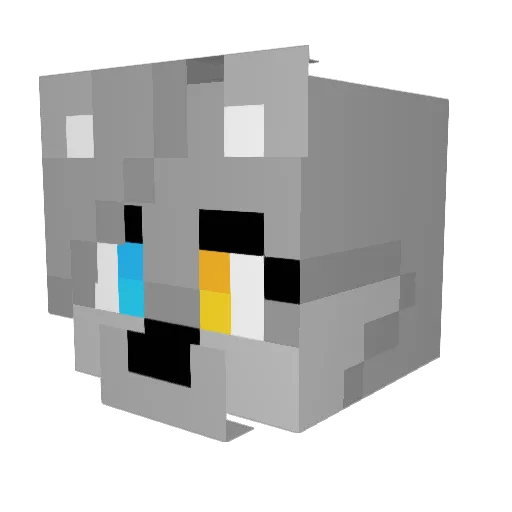 Matix_mutt Minecraft avatar head, 3D render