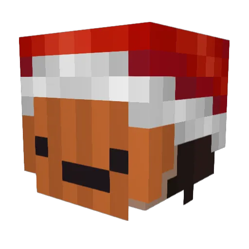 Matma69 Minecraft avatar head, 3D render