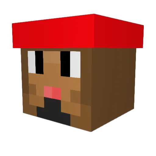 MatoJan1 Minecraft avatar head, 3D render