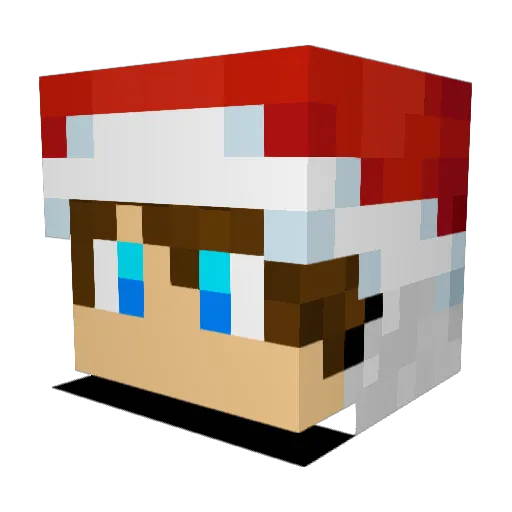 Matoast92 Minecraft avatar head, 3D render