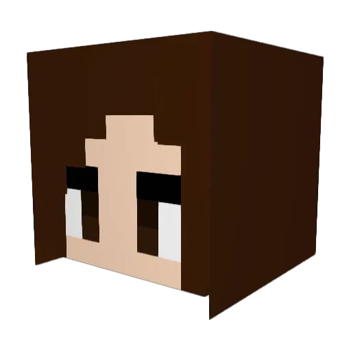 Matpen Minecraft avatar head, 3D render
