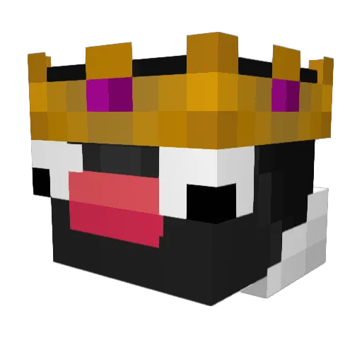 Matr1x0_0 Minecraft avatar head, 3D render
