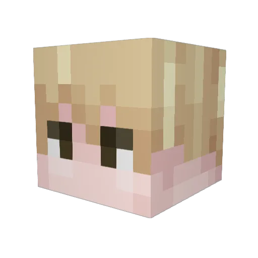Matrass Minecraft avatar head, 3D render