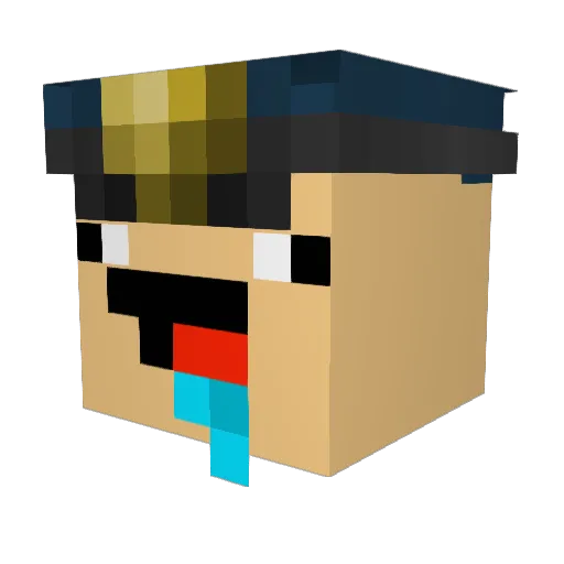 MatrickWS Minecraft avatar head, 3D render