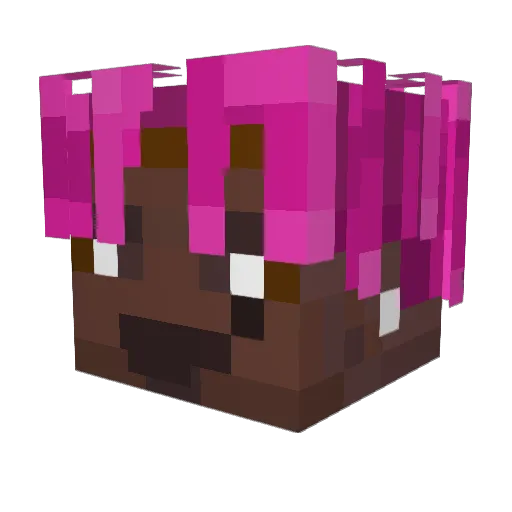 Matrix290 Minecraft avatar head, 3D render