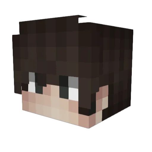 MatrixLuc Minecraft avatar head, 3D render