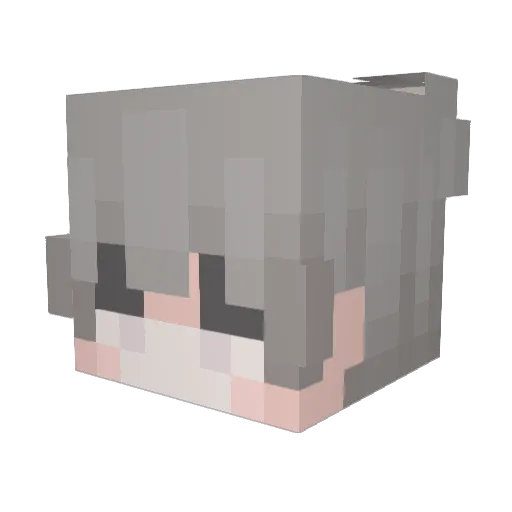MatrixStorage Minecraft avatar head, 3D render