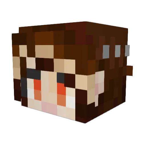 Matronace Minecraft avatar head, 3D render