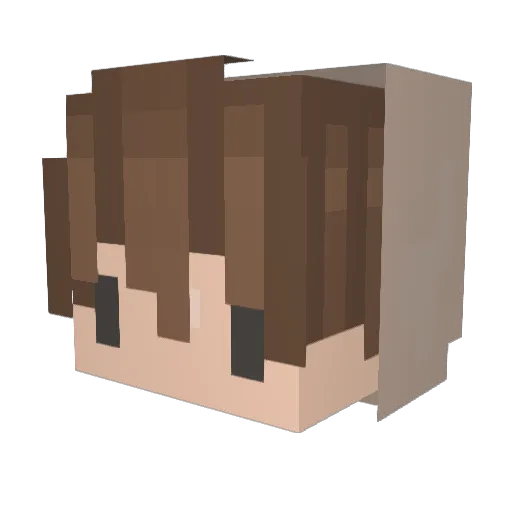 Matroz88 Minecraft avatar head, 3D render